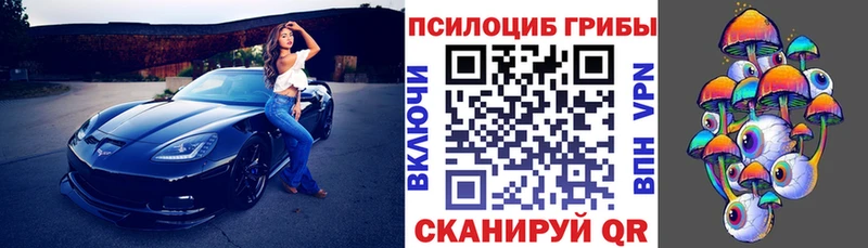 Галлюциногенные грибы GOLDEN TEACHER  закладка  Ковылкино 