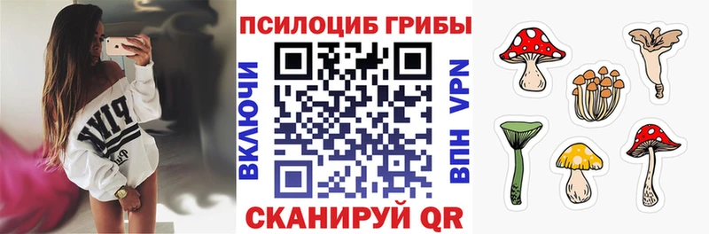 Псилоцибиновые грибы мицелий Ковылкино